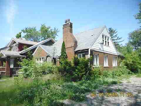 11847 Rosemary (4)_m.jpg